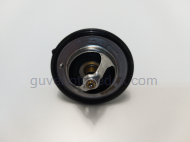 Chevrolet Captiva modeller için uygun Termostat Captiva İthal İTHAL