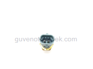 Opel Astra F 1992 1998 modeller için uygun Opel Corsa C Motor Su Sıcaklık Sensörü DELPHI Marka (Oval Soket) DELPHI